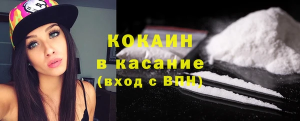 трава Арсеньев