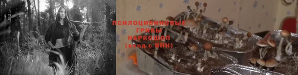 шишки Алексин