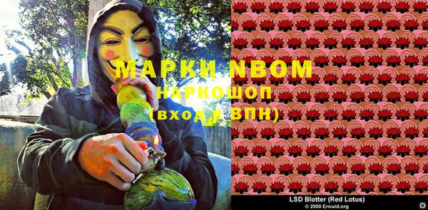 шишки Алексин