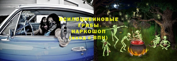шишки Алексин