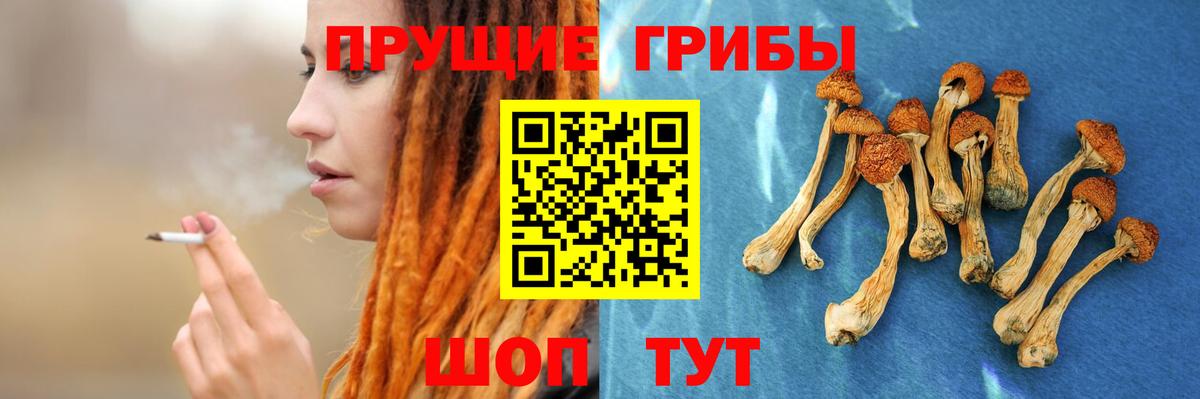 Мытищи  Псилоцибиновые грибы прущие грибы  Вход с VPN 